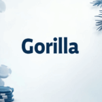 Казино Gorilla: синергія необмеженої продуктивності та надійних серверних рішень